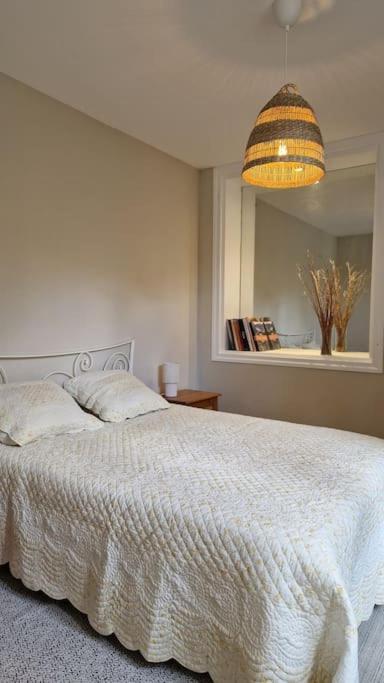 Le Champ Du Roy Apartment Chasse-sur-Rhone Luaran gambar