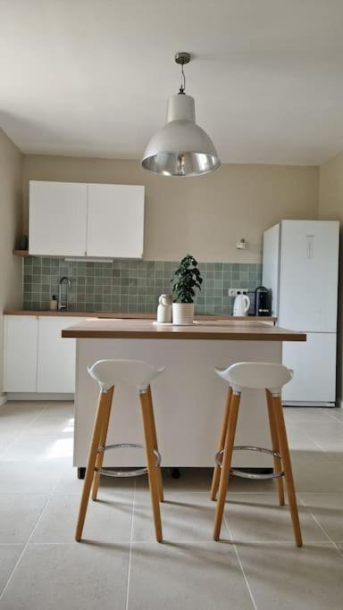 Le Champ Du Roy Apartment Chasse-sur-Rhone Luaran gambar