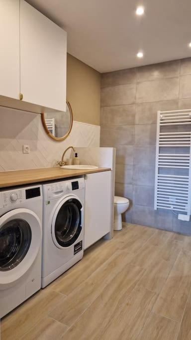 Le Champ Du Roy Apartment Chasse-sur-Rhone Luaran gambar